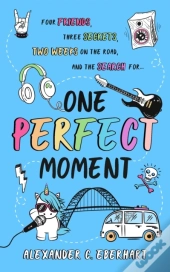 One Perfect Moment