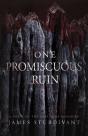One Promiscuous Ruin - Preview