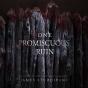 One Promiscuous Ruin - Preview