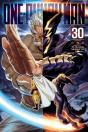 One-Punch Man, Vol. 30 - Preview