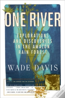 Capa do artigo One River