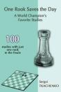One Rook Saves The Day - Preview
