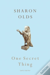 Capa do artigo One Secret Thing