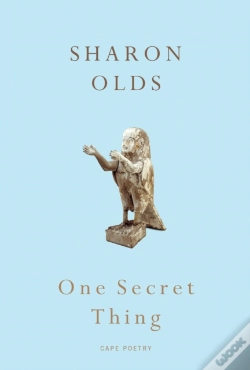 Capa do artigo One Secret Thing