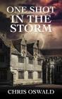 One Shot In The Storm - Preview