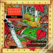 One Small Square: Woods