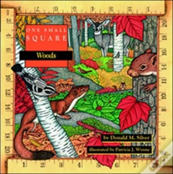 Capa do artigo One Small Square: Woods