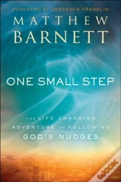 Capa do artigo One Small Step