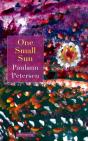 One Small Sun - Preview
