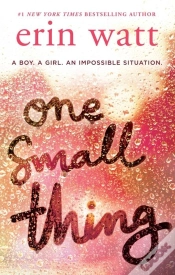 Capa do artigo One Small Thing
