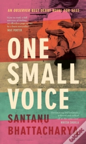 Capa do artigo One Small Voice