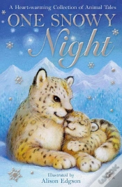 Capa do artigo One Snowy Night