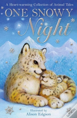 Capa do artigo One Snowy Night