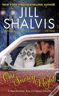 Capa do artigo One Snowy Night