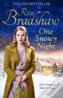 One Snowy Night