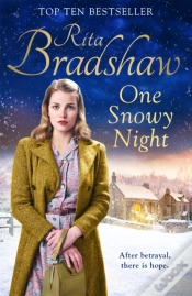 Capa do artigo One Snowy Night