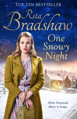 Capa do artigo One Snowy Night