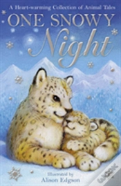 Capa do artigo One Snowy Night