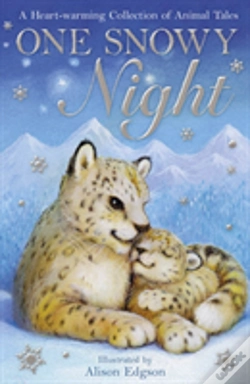 Capa do artigo One Snowy Night