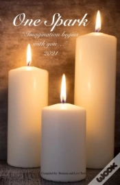 Capa do artigo One Spark 2021