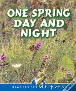 Capa do artigo One Spring Day And Night