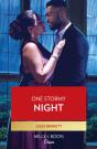 One Stormy Night - Preview
