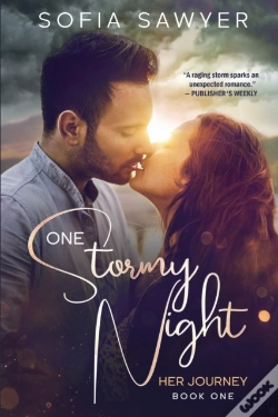 Capa do artigo One Stormy Night