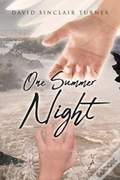 Capa do artigo One Summer Night