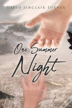 Capa do artigo One Summer Night
