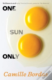 Capa do artigo One Sun Only