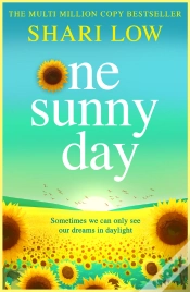 Capa do artigo One Sunny Day