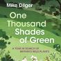 One Thousand Shades Of Green - Preview