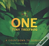 Capa do artigo One Tiny Treefrog: A Countdown To Survival