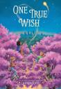 One True Wish - Preview