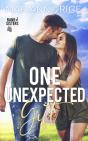 One Unexpected Gift - Preview