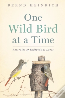 Capa do artigo One Wild Bird At A Time