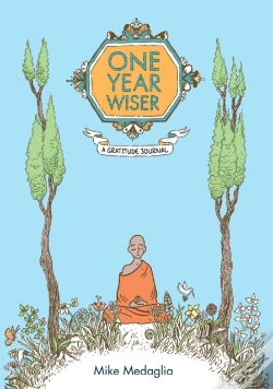 Capa do artigo One Year Wiser