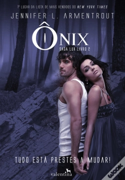 Capa do artigo Ônix