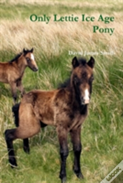 Capa do artigo Only Lettie Ice Age Pony