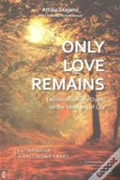 Capa do artigo Only Love Remains