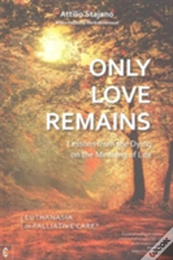 Capa do artigo Only Love Remains
