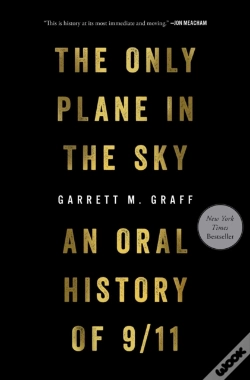 Capa do artigo Only Plane In The Sky