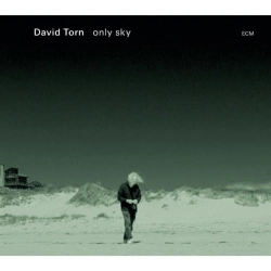 Capa do artigo Only Sky - CD
