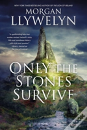 Capa do artigo Only The Stones Survive