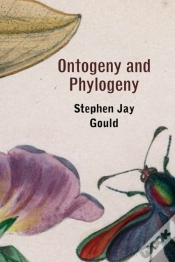 Capa do artigo Ontogeny And Phylogeny