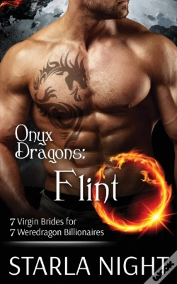Capa do artigo Onyx Dragons
