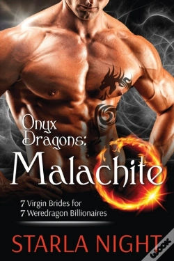 Capa do artigo Onyx Dragons