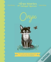 Capa do artigo Onyx