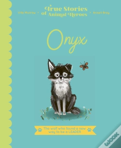 Capa do artigo Onyx