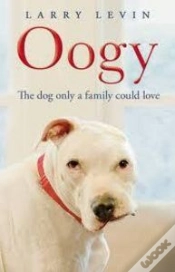 Capa do artigo Oogy